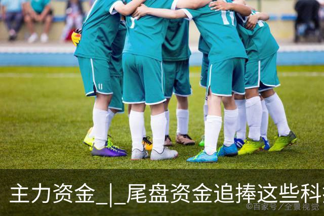 主力资金 | 尾盘资金追捧这些科技股