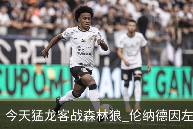 今天猛龙客战森林狼 伦纳德因左膝肿胀缺席比赛