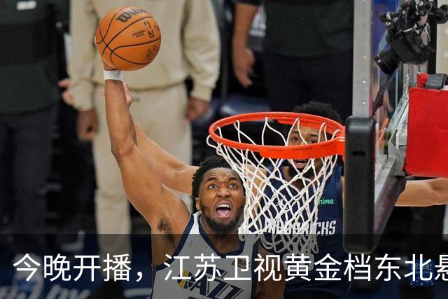 今晚开播，江苏卫视黄金档东北悬疑大剧来袭！阵容强大，值得一看