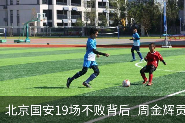 北京国安19场不败背后 周金辉贡献了什么