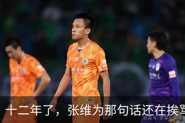 十二年了，张维为那句话还在挨骂，到底冤不冤？
