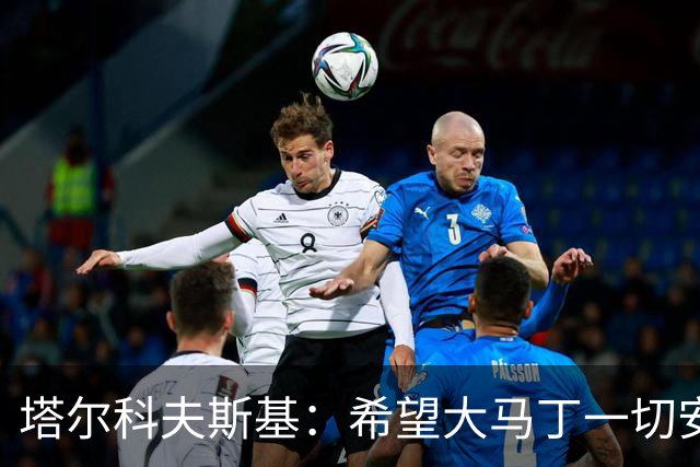 塔尔科夫斯基：希望大马丁一切安好，我当时并没有在要点球